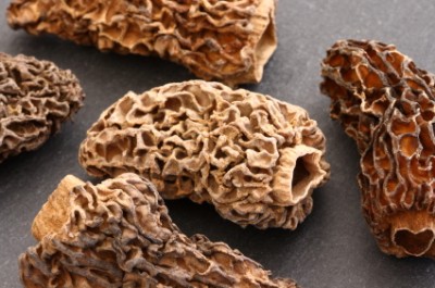 Morel Mushrooms