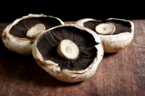 mushrooms mushrooms