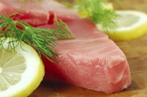 fish fish