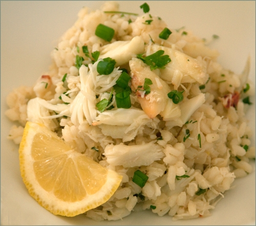 seafood seafood
